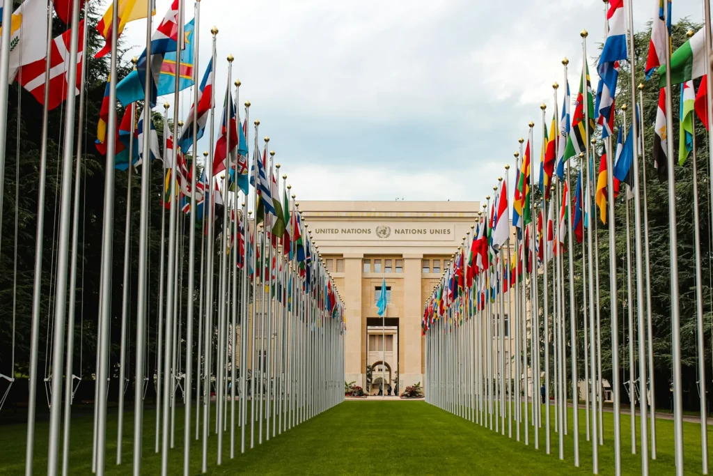 Multilateral organizations