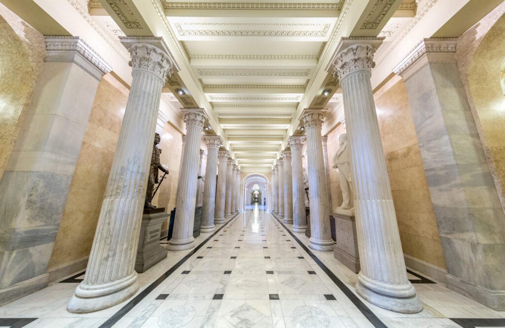 Full-time roles in Congress