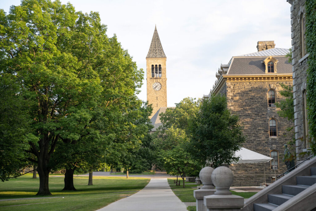 When should you go to graduate school?